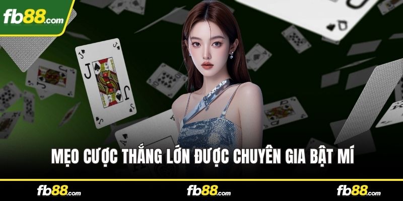 Mẹo cược thắng lớn được chuyên gia bật mí