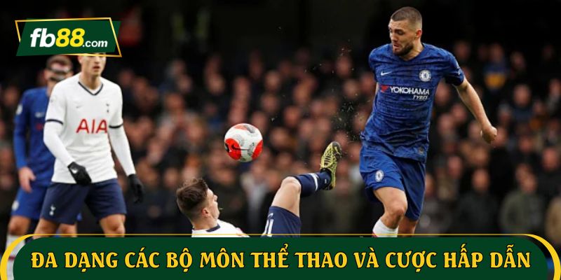 Đa dạng các bộ môn thể thao và cược hấp dẫn